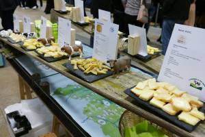 Käse-Treppe - die Alternative zur Käseplatte - nur bei Mosel-Käse-Event!
